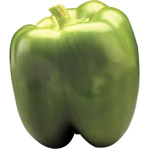 PEPPERS GREEN XL 10KG