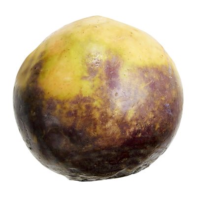 RUTABAGA CA 50LB