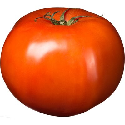 TOMATO GH RED CA 28