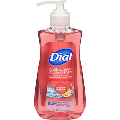 DIAL LHS PUMP POME & TANGERINE 221ML