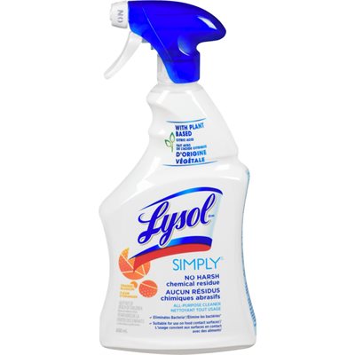 LYSOL APC SMPLY CITRS TRG 650ML