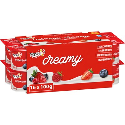 YOPLAIT CREAMY STR / BL / RASP / FB 100.000G