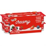 YOPLAIT CREAMY STR / BL / RASP / FB 100.000G