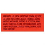 YOPLAIT CREAMY STR / BL / RASP / FB 100.000G