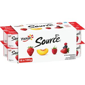 SOURCE YOGURT STR / FLD / RASP / PCH 100.000G
