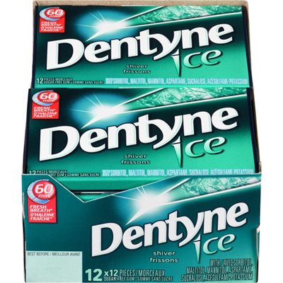 DENTYNE ICE SHIVER 1EA