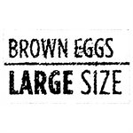 NUTRI EGG LARGE BROWN, EA 12EA