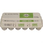 FAMILY PACK EGGS LARGE 18EA