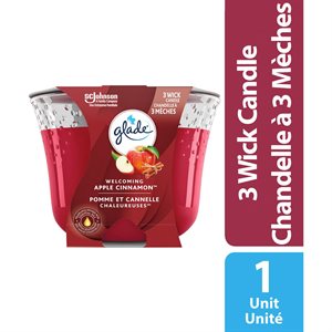 GLADE LG JAR CANDLE APL CIN 1EA