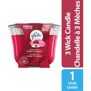 GLADE CNDL LG JAR RDNT BERRIES 1EA