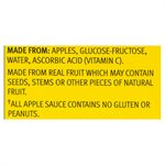 MOTTS FRUITSATIONS ORIG APPLE 104.000ML