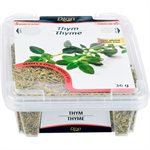 DION THYME 36.000G